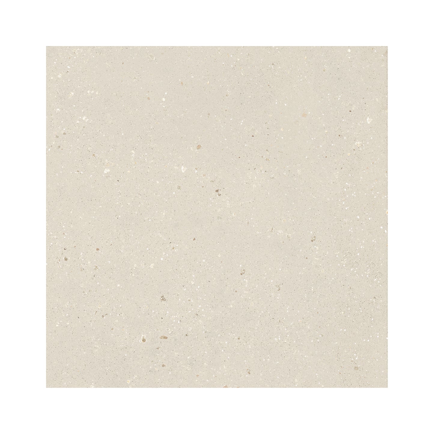 24" x 24" Italian Geology Matte Stone Look Porcelain Floor and Wall Tile