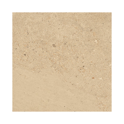 24" x 48" American Elara Matte Porcelain Floor and Wall Tile