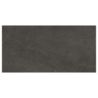 24" x 48" American Elara Matte Porcelain Floor and Wall Tile