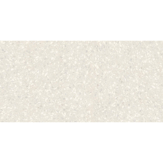 24" x 48" Terrazzo Americana Matte Porcelain Floor and Wall Tile