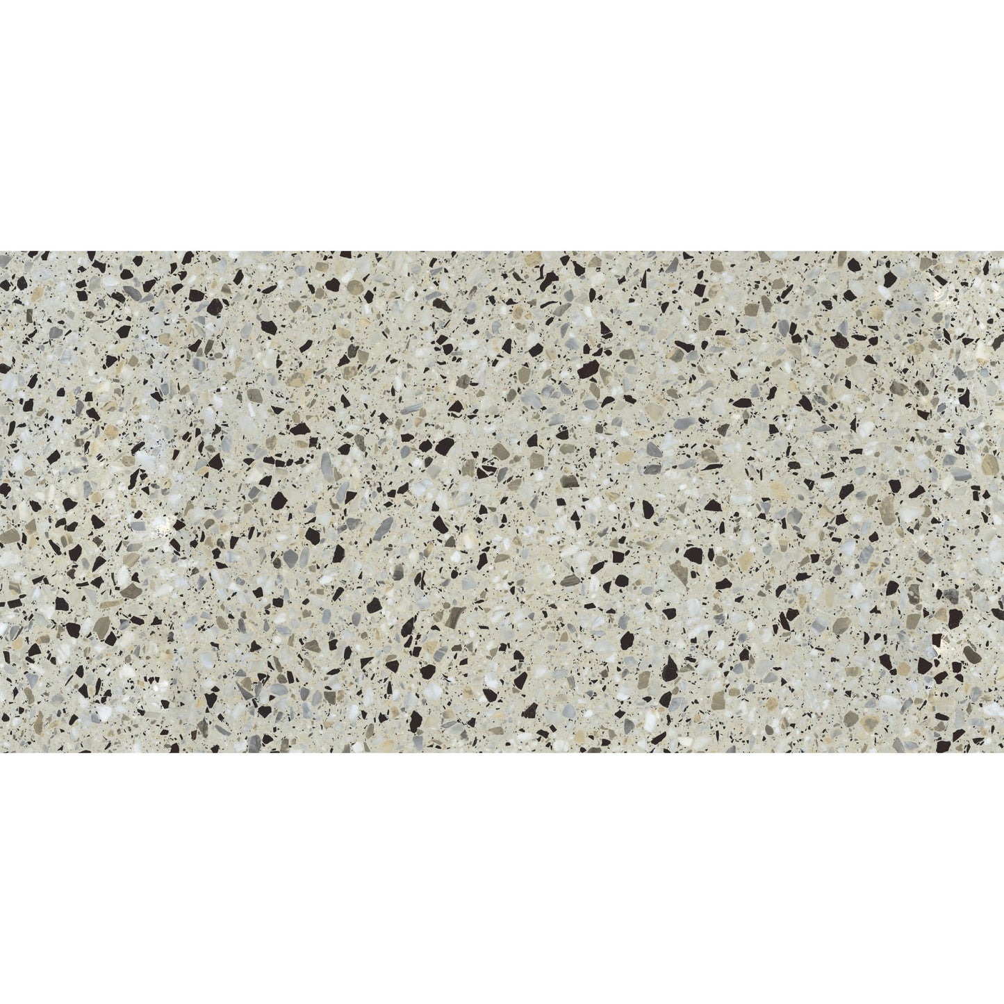 24" x 48" Terrazzo Americana Matte Porcelain Floor and Wall Tile