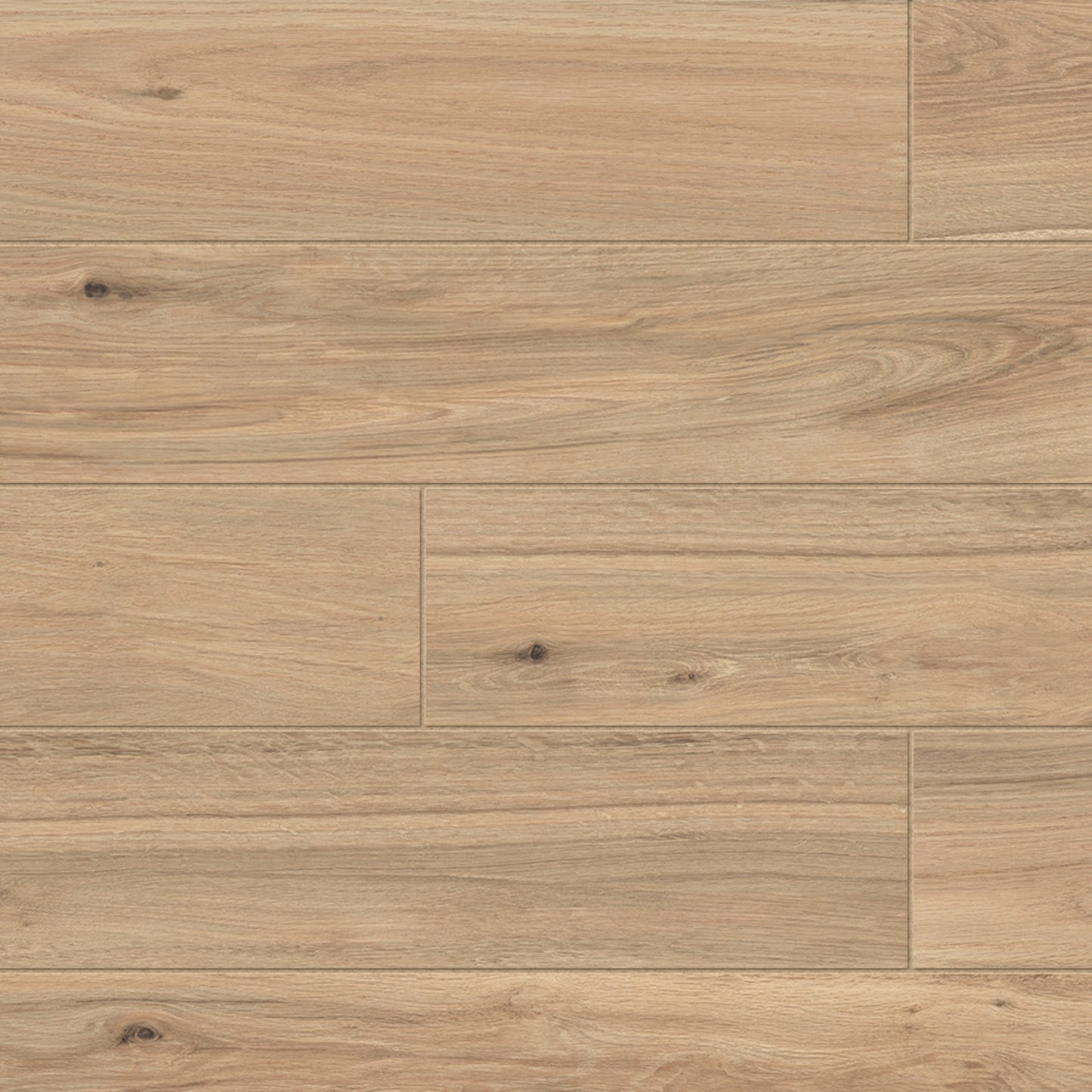 8" x 48" American Arborix Matte Wood Look Porcelain Floor and Wall Tile