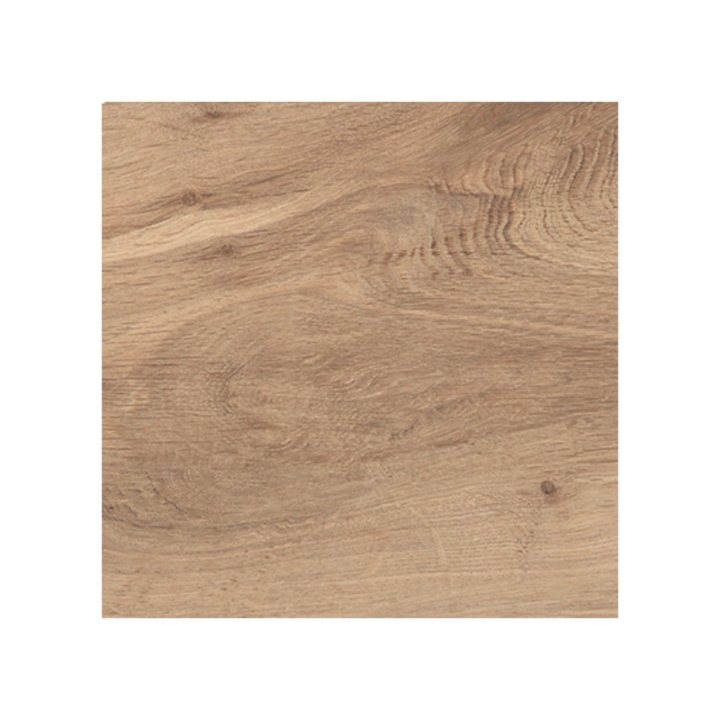 8" x 48" American Arborix Matte Wood Look Porcelain Floor and Wall Tile