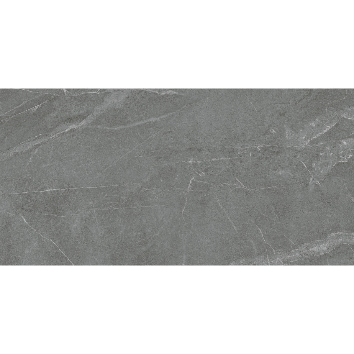 24" x 48" American Linora Matte Marble Look Porcelain Floor and Wall Tile