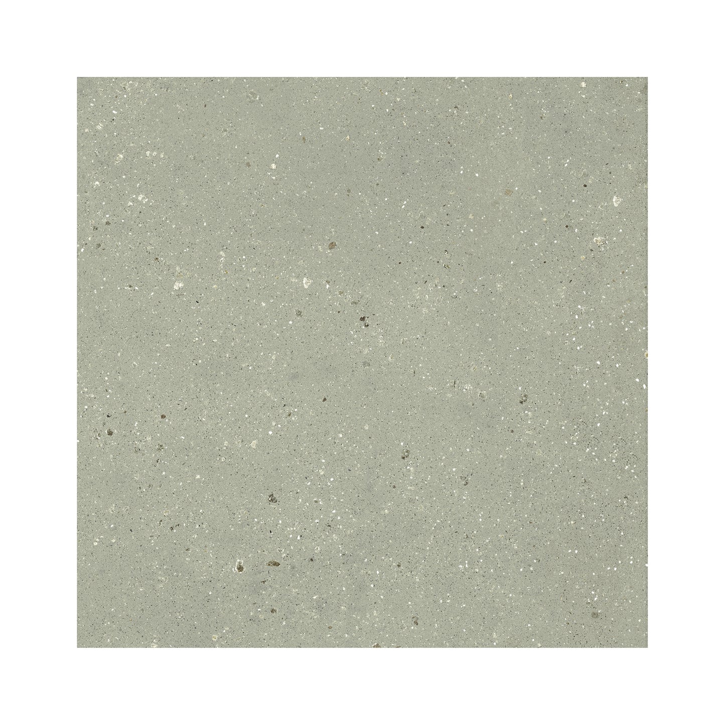 24" x 24" Italian Geology Matte Stone Look Porcelain Floor and Wall Tile