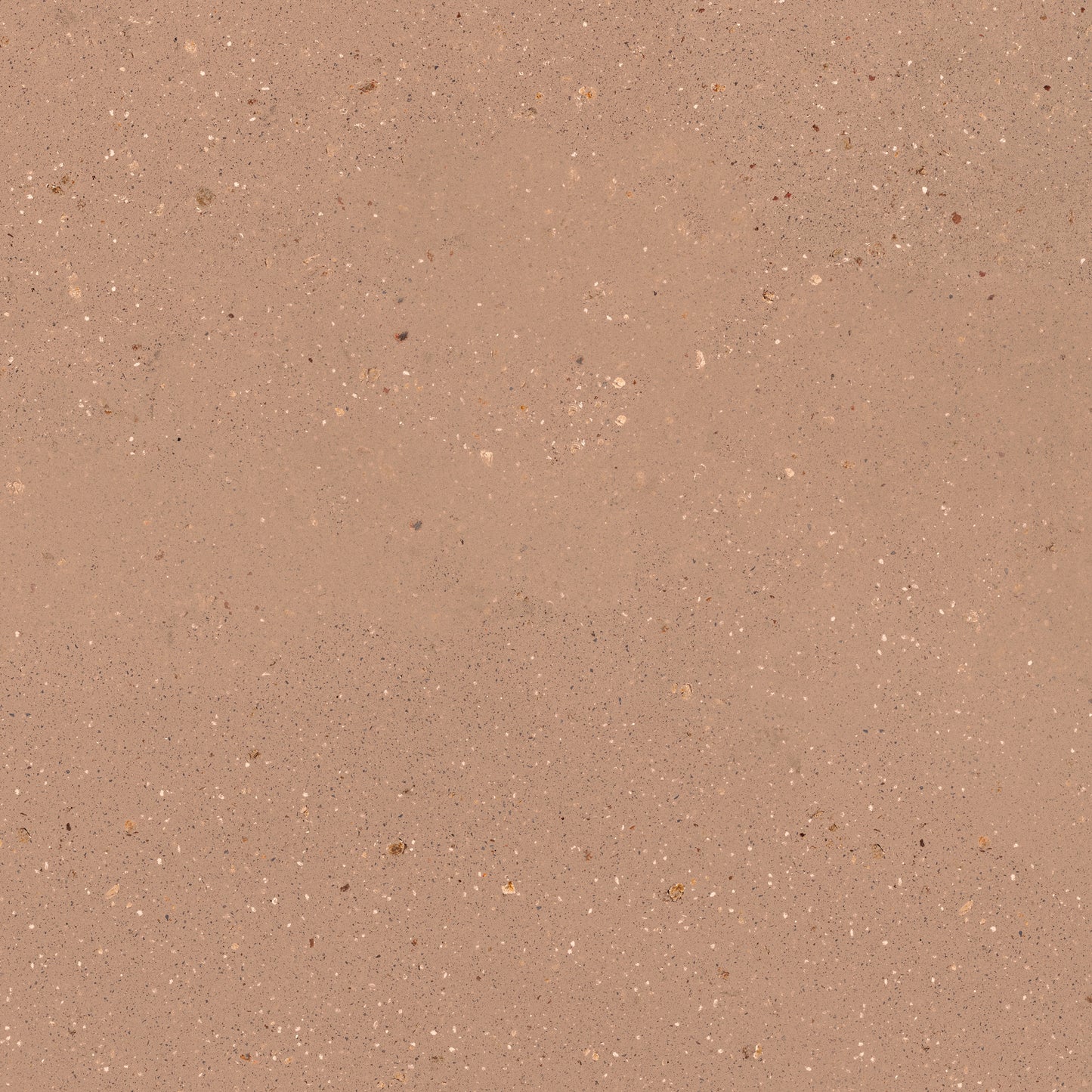 24" x 24" Italian Geology Matte Stone Look Porcelain Floor and Wall Tile