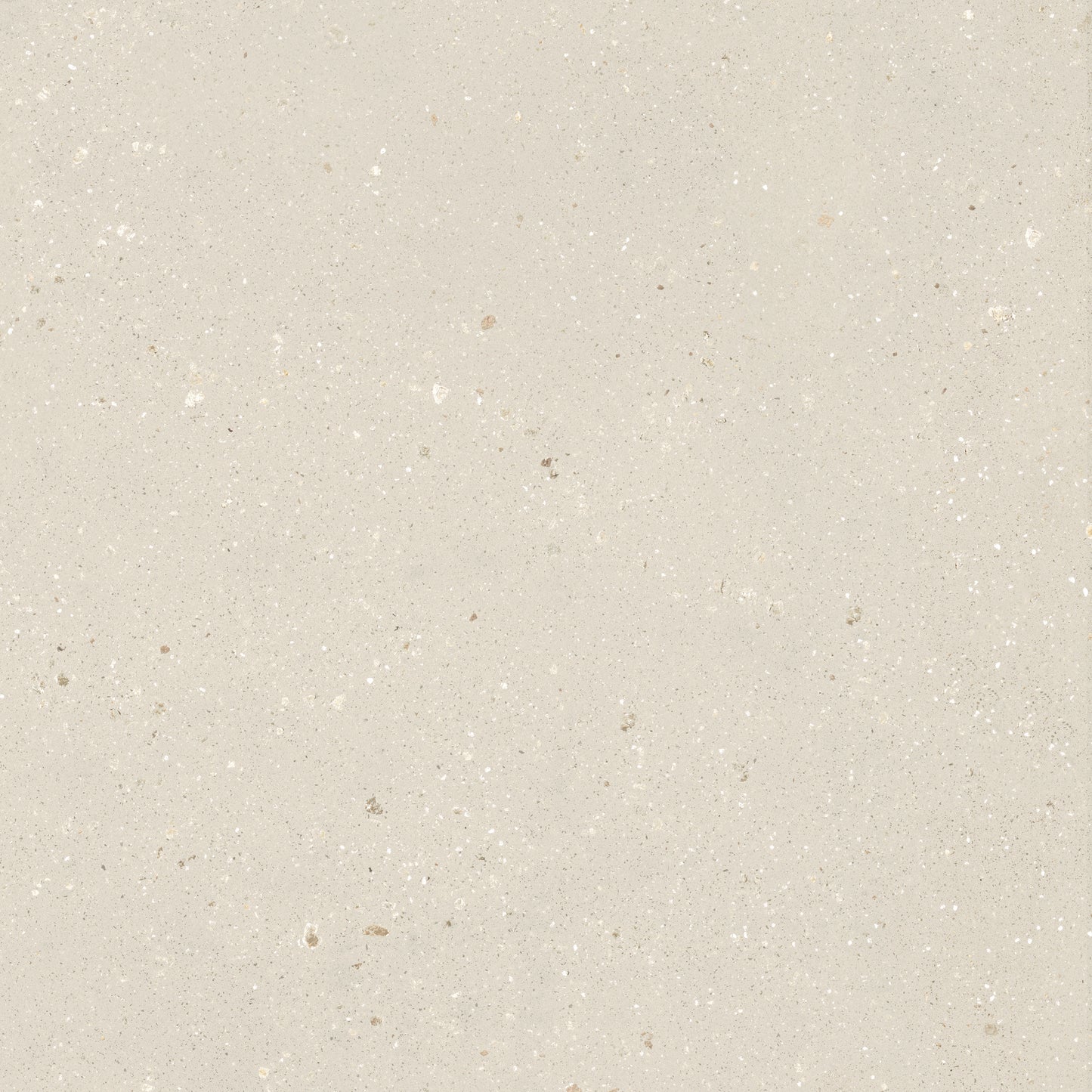 24" x 24" Italian Geology Matte Stone Look Porcelain Floor and Wall Tile