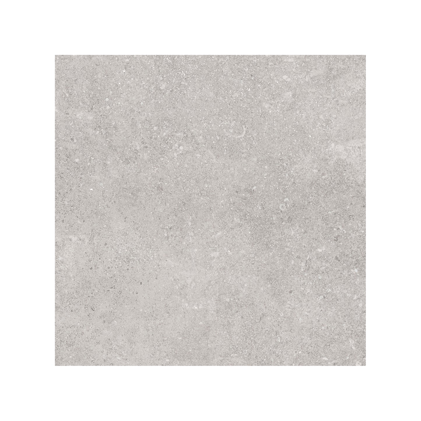 24” x 24” Ambience Italian Porcelain Floor and Wall Tile