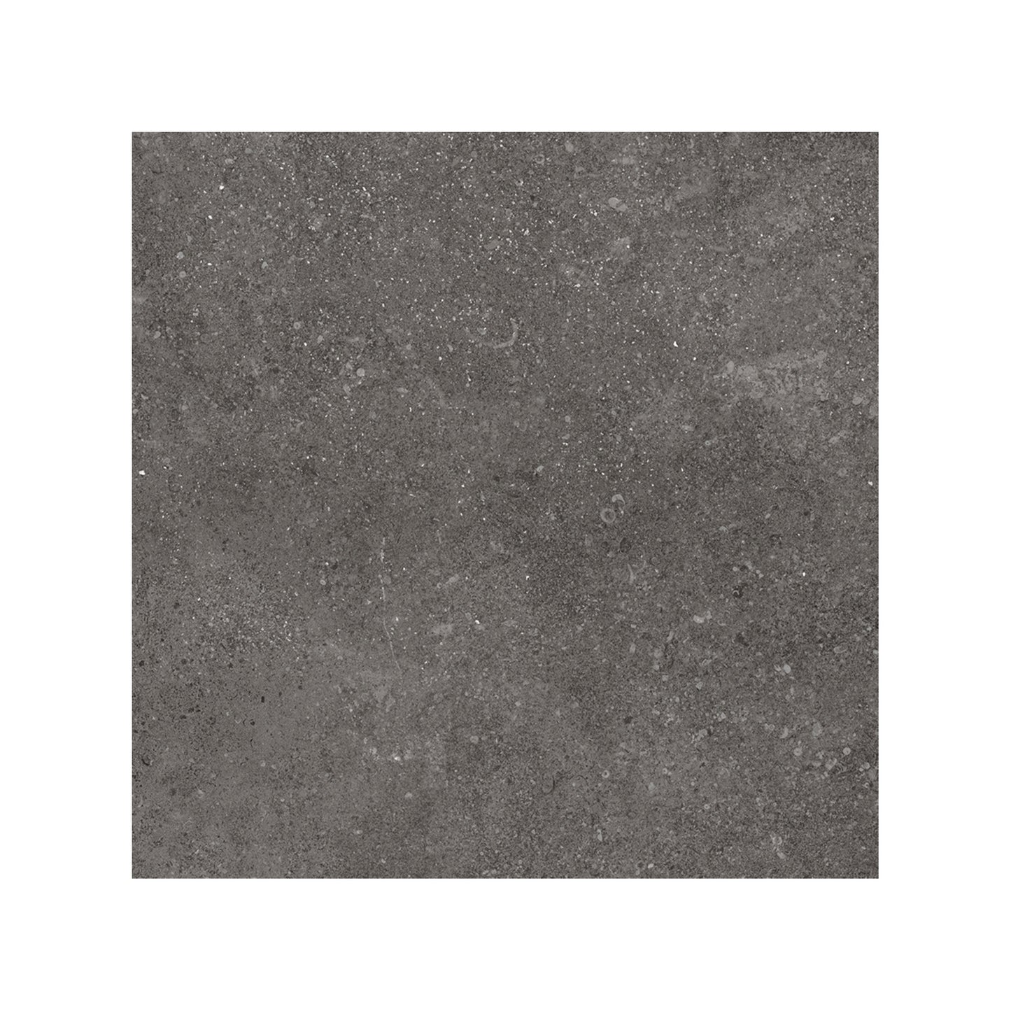 24” x 24” Ambience Italian Porcelain Floor and Wall Tile