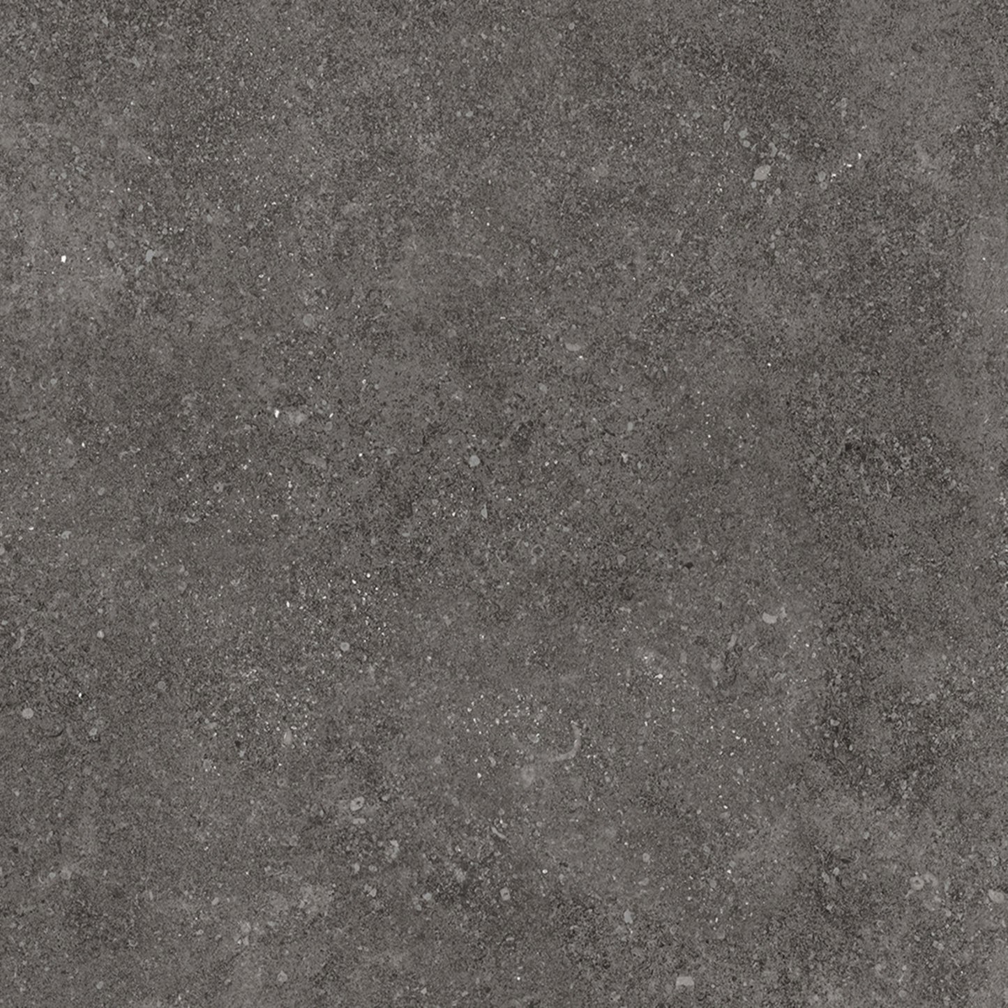 24” x 24” Ambience Italian Porcelain Floor and Wall Tile