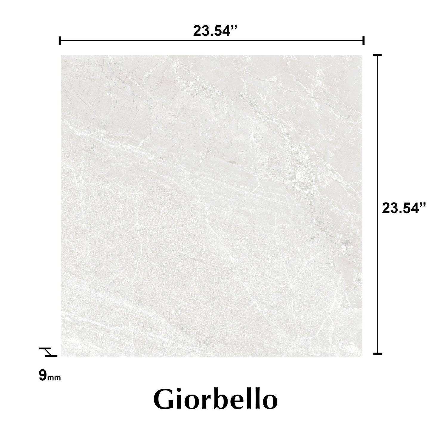 24” x 24” Spanish NoirBlanc Matte Porcelain Floor and Wall Tile