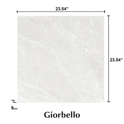 24” x 24” Spanish NoirBlanc Matte Porcelain Floor and Wall Tile