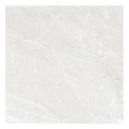 24” x 24” Spanish NoirBlanc Matte Porcelain Floor and Wall Tile