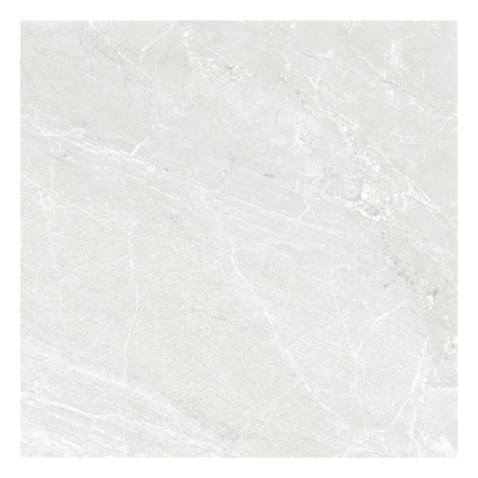 24” x 24” Spanish NoirBlanc Matte Porcelain Floor and Wall Tile