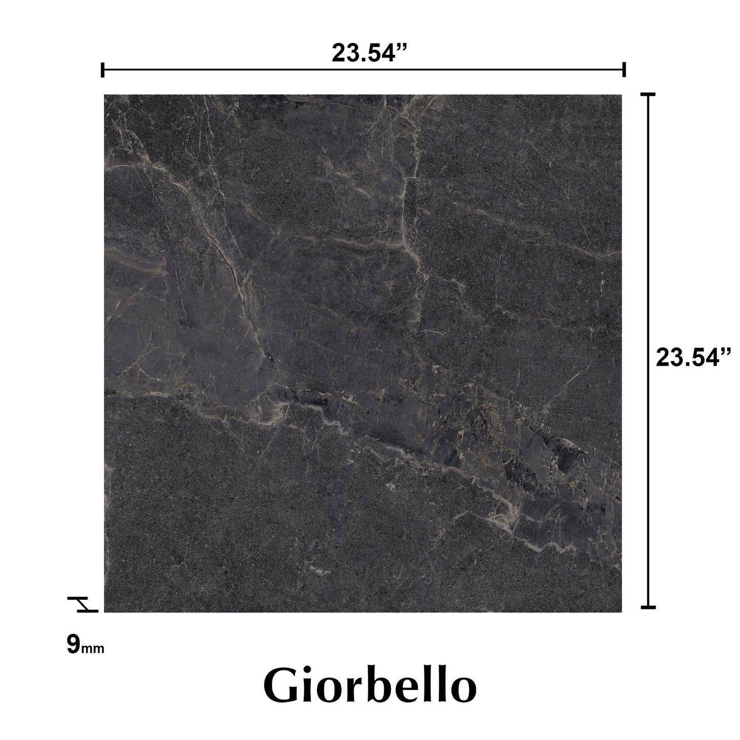 24” x 24” Spanish NoirBlanc Matte Porcelain Floor and Wall Tile