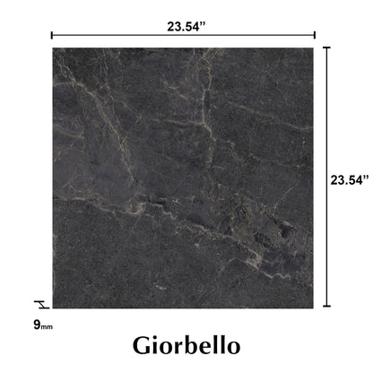 24” x 24” Spanish NoirBlanc Matte Porcelain Floor and Wall Tile